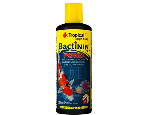 bacterias para estanque bactinin