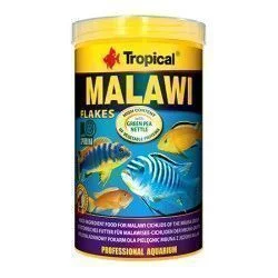 comida peces africanos tropical malawi